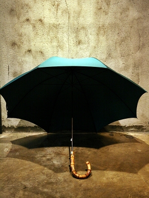 Fox Umbrellas GT-9 Whanghee cane - Emerald Cover